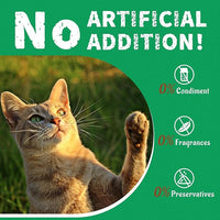Just Try 13.4 OZ Crunchy Cat Treats Catnip Treats for Cats with Digestive Support, Natural Ingredients Kitten Treats with Real Salmon, Healthy Feline Snacks Training Biscuits Dental Care