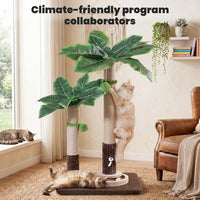 35" inch Cat Scratching Post - 37.8-Green / 37.8in - image 2