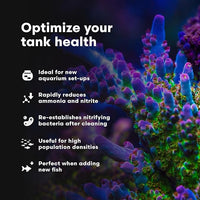 Brightwell Aquatics MicroBacter Start XLM - Concentrated Freshwater Nitrifying Bacteria - Quick Start Fish Tank Starter, Lift Microbe Levels & Water Filtering - Aquarium Water Treatments, 4.22 fl oz