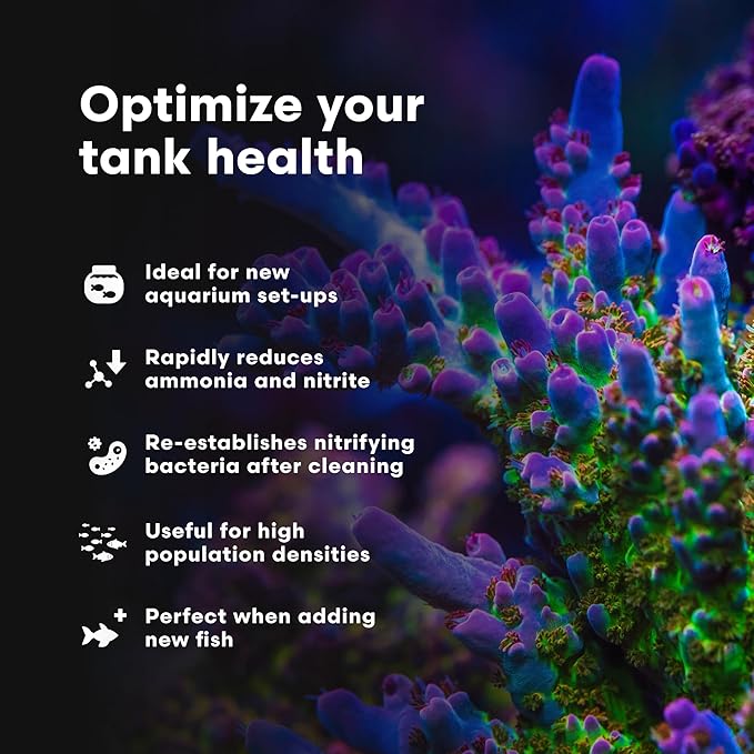 Brightwell Aquatics MicroBacter Start XLM - Concentrated Freshwater Nitrifying Bacteria - Quick Start Fish Tank Starter, Lift Microbe Levels & Water Filtering - Aquarium Water Treatments, 4.22 fl oz