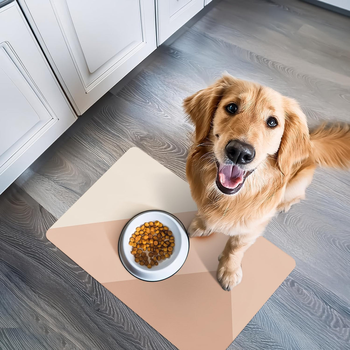 Dog Mat for Food and Water, Cat Feeding Mat - 16.5"L x 26"W / Birthday Suit - image 3