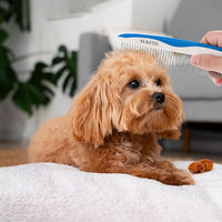 Dog Grooming Comb for Matting, Dog combs for grooming matting, Dematting Comb for Dogs and Cat with Stainless Steel Teeth & Non-Slip Handle (Style 1- Blue)