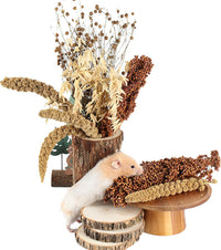 Natural Ear of Grain Flower&Herb Bedding Mate Habitat Decor - Grain