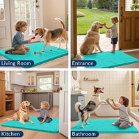 Smiry Dog Door Mat for Muddy Paws 36x24, Absorbs Moisture and Dirt Doormat, Non-Slip Washable Quick Dry Chenille Front Door Mat Indoor Entrance, Entryway Carpet for Inside Floor, Teal