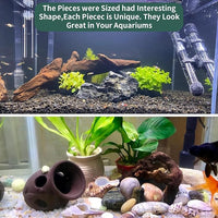 Hamiledyi 3 Pcs Natural Driftwood for Aquarium 7-12 Inch Driftwood Branches Bearded Dragon Accessories Reptiles Aquarium Decoration Assorted Size Natural Habitat Decor Wood for Lizad
