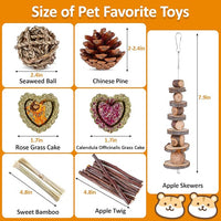 VESPRO Hamster Toys Set, Guinea Pig Toys Small Animal Chewing Toy and Rat Cage Accessories, Chinchillas, Gerbils, Rats, Rabbit Rodents Teeth Care, Apple Wood Timothy Hay Mouse Toy Swing Seesaw Bridge