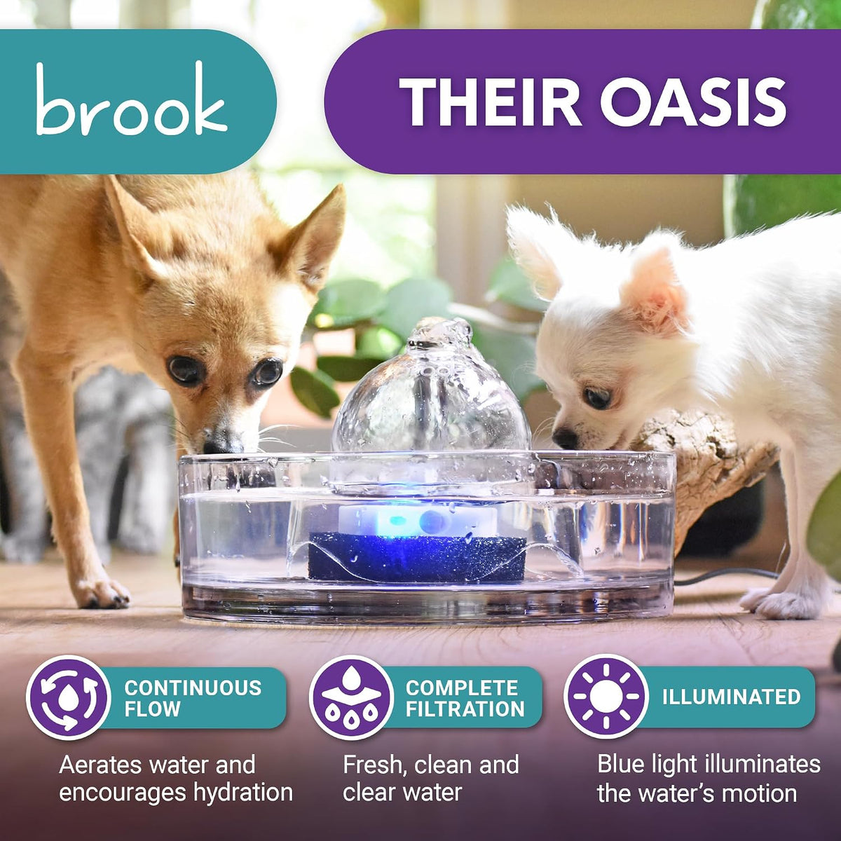 Brook Glass Cat Water Fountain 90oz - image 2