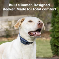 PetSafe Pro Remote Trainer Add-A-Dog Collar – Extra Collar for Dog Training Collar with Remote – Waterproof – 1000 Ft Range – Tone, Vibration and 19 Levels of Static – Sleek, Low-Profile Design