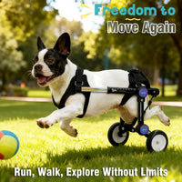 Dog Wheelchair for Back Legs, Adjustable Mobility Cart for Dog – Essentials for Dogs - Black for 6.5-11.1lb - image 4