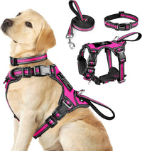 WINSEE Pet Harness Collar and Leash Set - Large / Rosy
