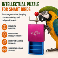 Bird Toys for Large Birds Stainless Steel Bird Toy with Traveling - Ele-Waiter - image 3