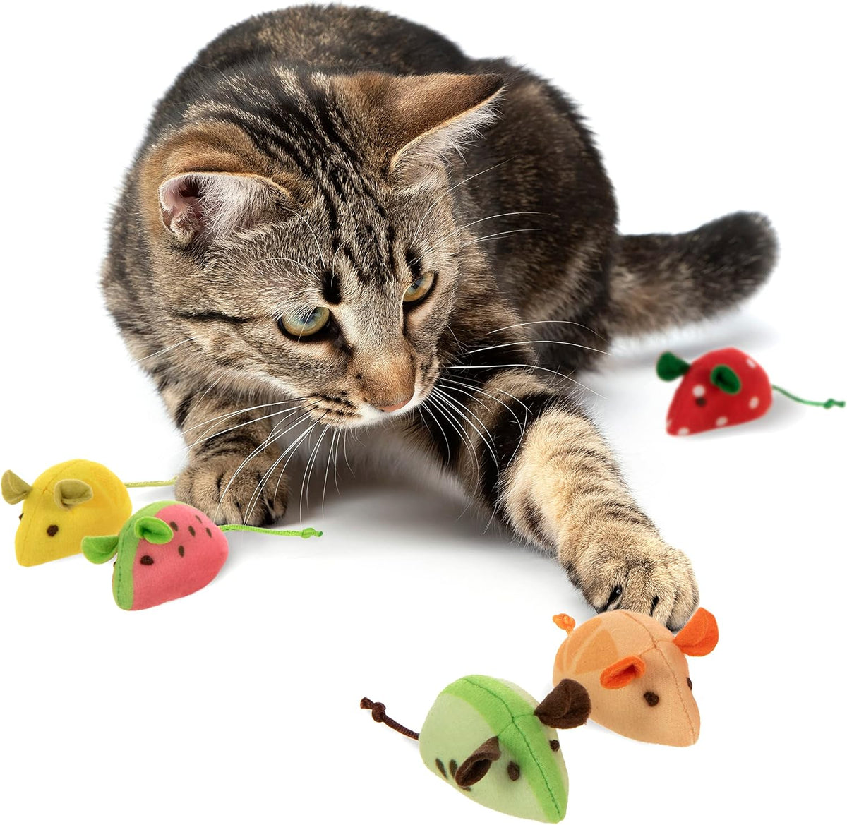 SmartyKat – Essentials for Cats - Skitter Critter / 10 - image 2