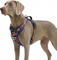 Funfox Dog Harness Medium Sized Dog - Camo Orange / X-Large