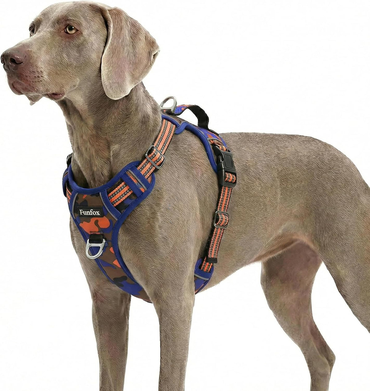 Funfox Dog Harness Medium Sized Dog - Camo Orange / X-Large