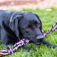 Dog Rope Toy for Large Dogs Heavy Duty Dog Chew Toys for Aggressive - 9 Packs / Large - image 3
