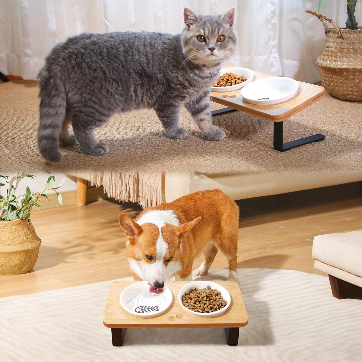 5" Ceramic Cat Bowl with Paws Pattern - Fish Bone - image 3