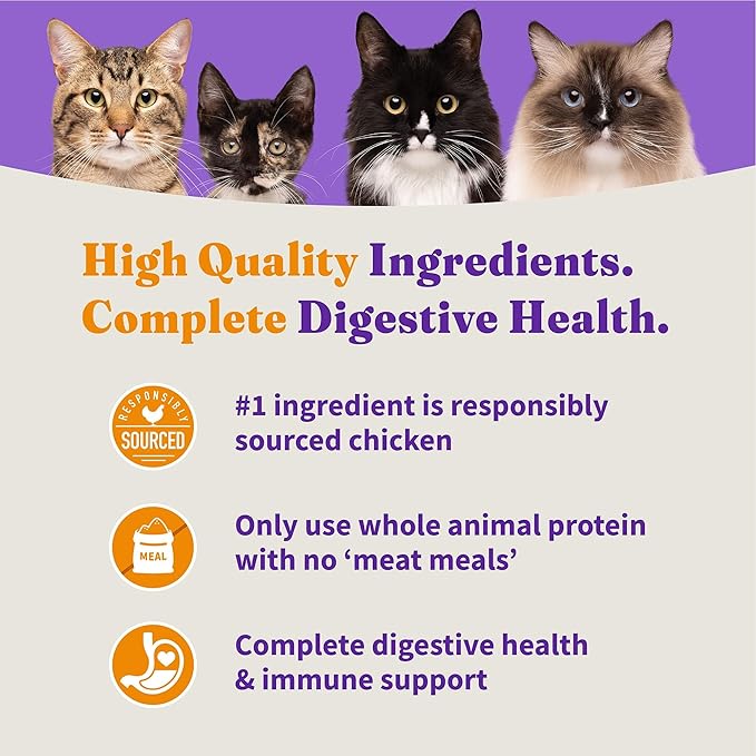 Halo Holistic Cage Free Chicken Cat Food, Grain Free Dry Cat Food, For Healthy Weight Support, Kibble for Indoor Cats, 3 lb Bag
