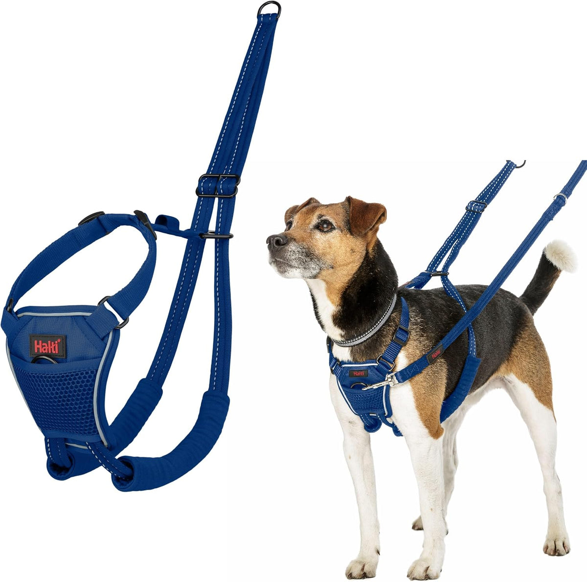 Halti No Pull Dog Harness, Size M - Cobalt Blue / XS