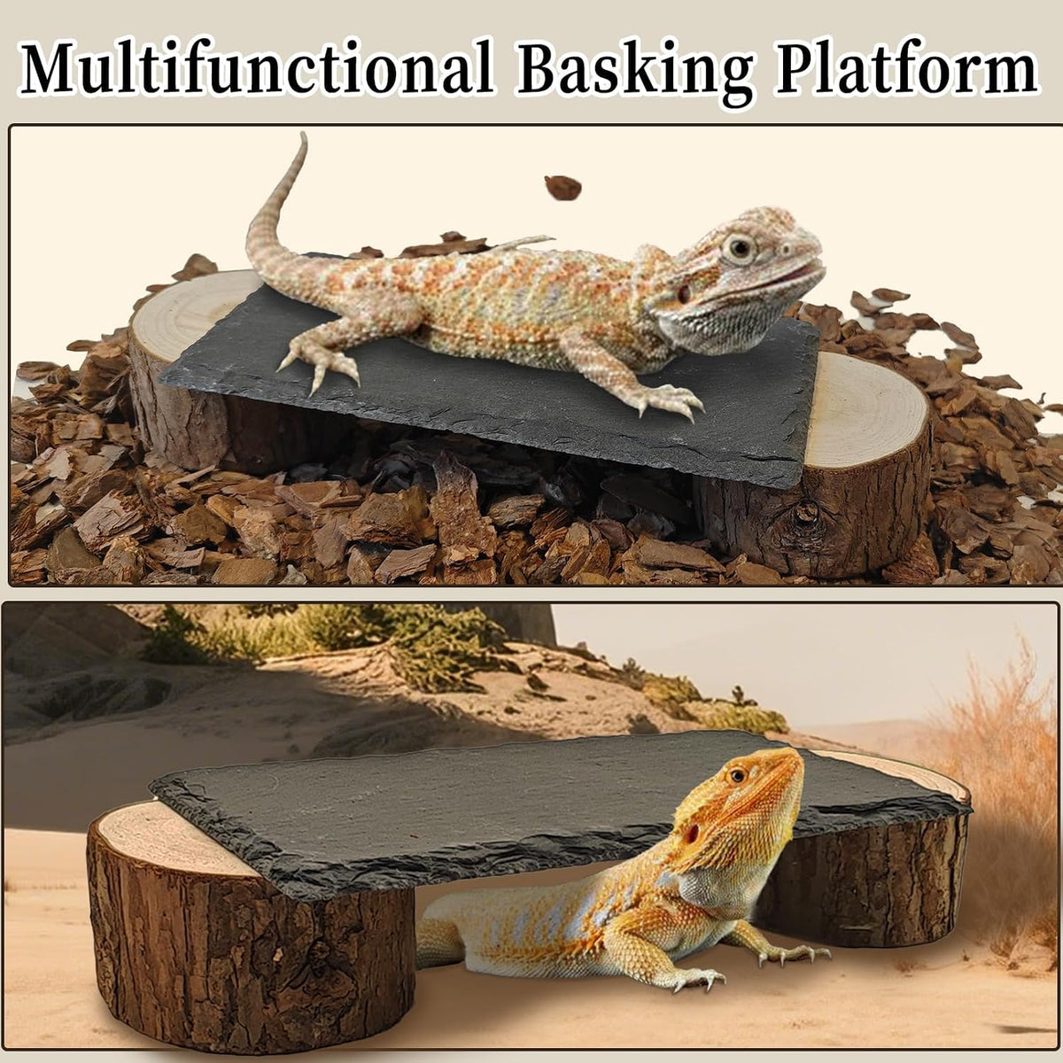 Bearded Dragon Basking Platform - L - 8" x 4" x 1.6" - image 2