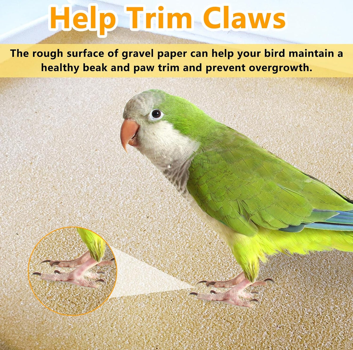 10PCS Gravel Paper for Bird Cage - 17”x 11”-20PCS - image 4