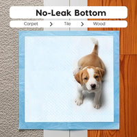 IRIS USA Dog Pee Pads – Puppy Essentials, Dog Pads, Quick Dry, Leak Proof, Thick Absorbent 6-Layer Design for Potty Training, Regular Size 22" x 22", 100 Count
