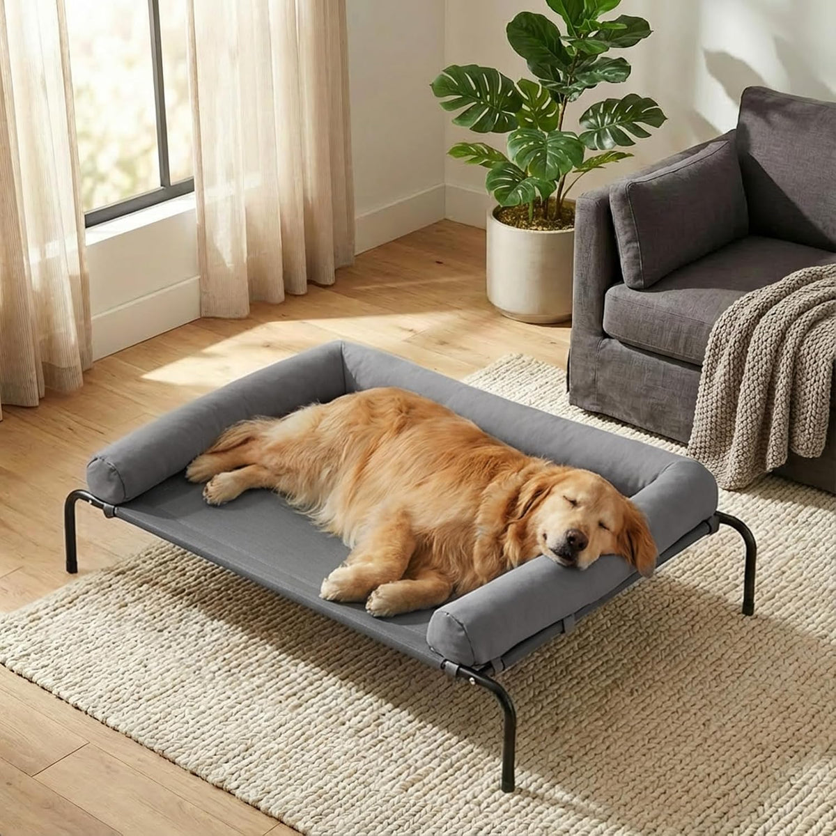 RRPETHOME Elevated Cooling Dog Cot 43x31" - Grey / 43.0"L x 31.0"W x 8.0"Th
