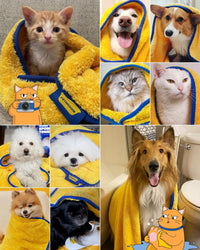 Ultra Absorbent Pet Towel, Quick-Drying - Yellow / Medium (Pack of 2) - image 2