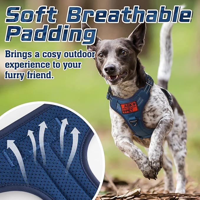 rabbitgoo Tactical Dog Harness for Small Dogs, No Pull Military Service Vest with Handle & Molle, Easy Control for Training Walking, Adjustable Reflective Straps, Blue, S