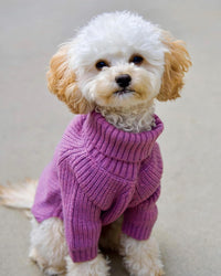 Fitwarm Thermal Knitted Dog Sweater Doggy Winter Coat Pet Clothes - XX-Large / Purple - image 3