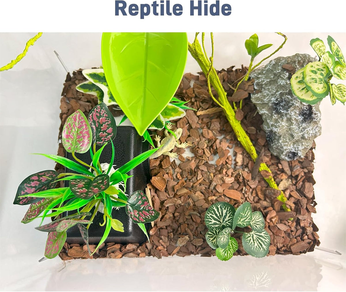 Reptile Hide Cave, Snake Hide for Ball Python & Gecko - Black / Small (1 Count) - image 2