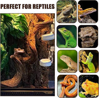 BNOSDM 3 Pcs Reptile Climbing Branches Decor,Snake Climbing Branch,Gecko Climb Wood,Lizard Forest Branch,Tank Habitat Tree Trunk Decorations for Bearded Dragons,Chameleons,Spider,Frogs (S)
