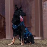 OneTigris No Pull Tactical Dog Harness for Medium Dogs - Blue / L - image 3