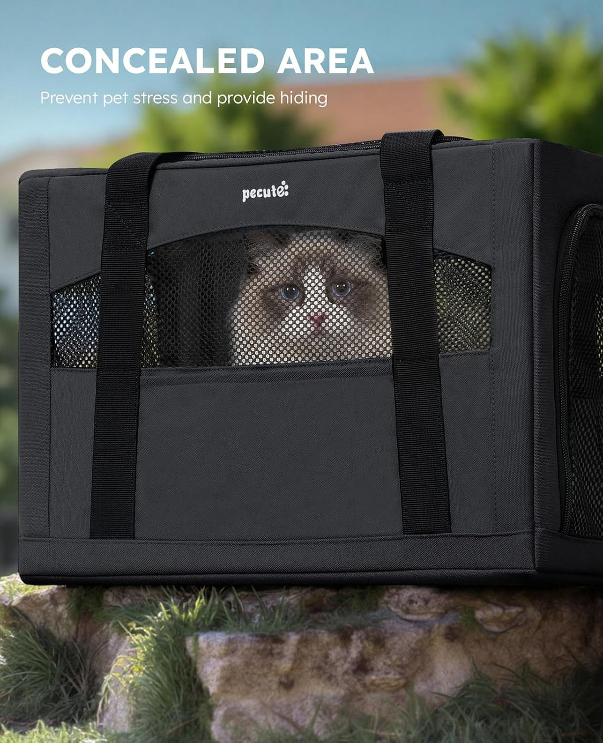 Pecute Cat Carrier Stable, Pet Carrier with Privacy Partition - Dark Gray / 18.5"L x 12.9"W x 11.8"H - image 4