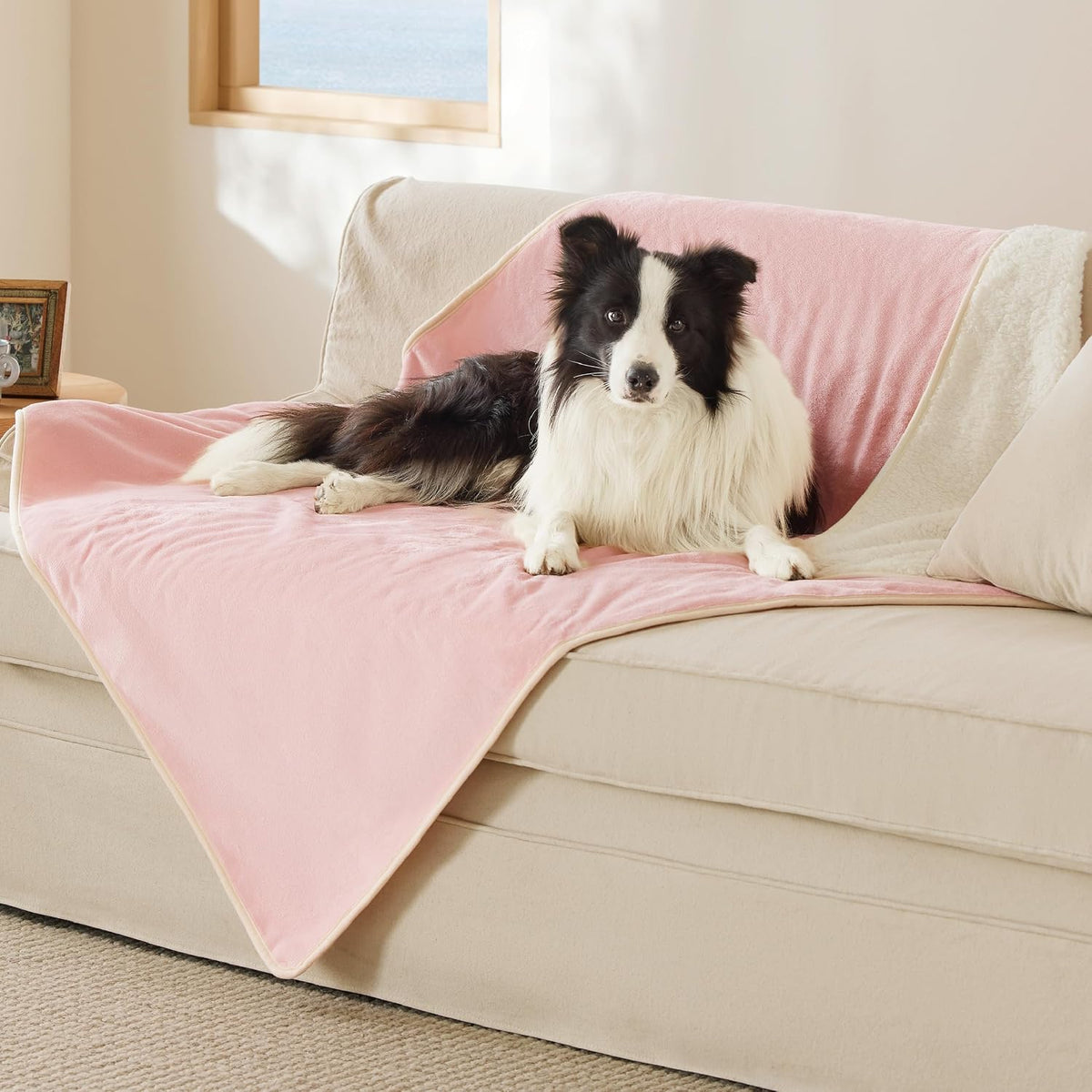 Bedsure Waterproof Dog Blankets for Small Dogs Soft Cat Blanket Warm - XL(50x60") / Azalea Pink