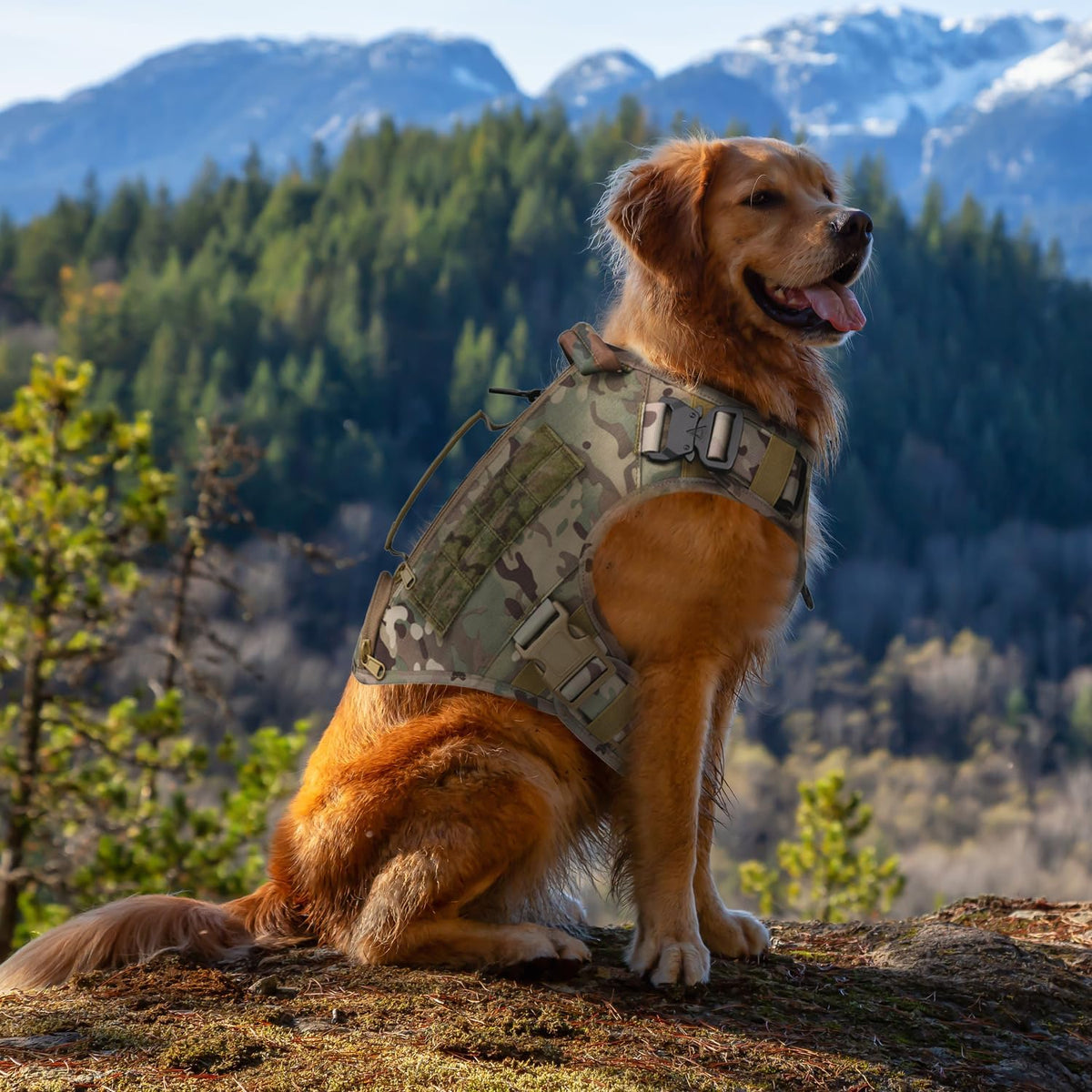 Tactical Dog Backpack Harness for Large Breed Original Design Metal - M / Camouflage(with 2 pouches) - image 3