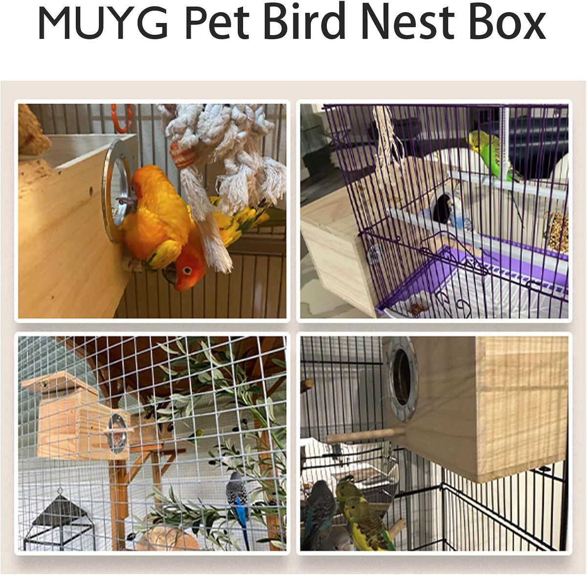Transparent Parakeet Nesting Box - M: 9.84"x5.1"x5.1": - image 2