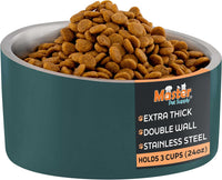 Master Pet Supply Stainless Steel Slanted Dog Cat Food Bowl 24 oz - Emerald Sea / 3 Cups (24 oz)
