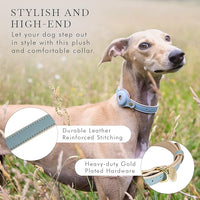 Cupertino Dog Collars, Harnesses & Leashes Made from Vegan Leather with Dog Tracker Device Holder Adjustable Dog Collar (Extra Small, Blue)