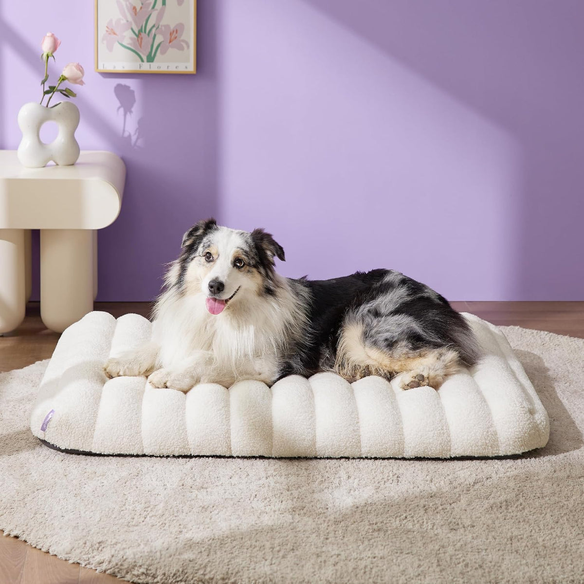 LE SURE Cute Orthopedic Dog Bed Large Sized Dog, Flat Pet Mat - 36"L x 27"W x 4"Th / Cream