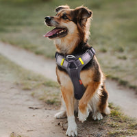 Fida Dog Harness, No-Pull Pet Vest with Saddle Bags Backpack - Small (Neck:14"-18";Chest:20"-22.5") / Black - image 3