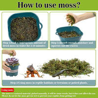 Sukh Sphagnum Moss for Reptiles, Green Terrarium Moss Substrate - 30 Ounces / Green - image 3