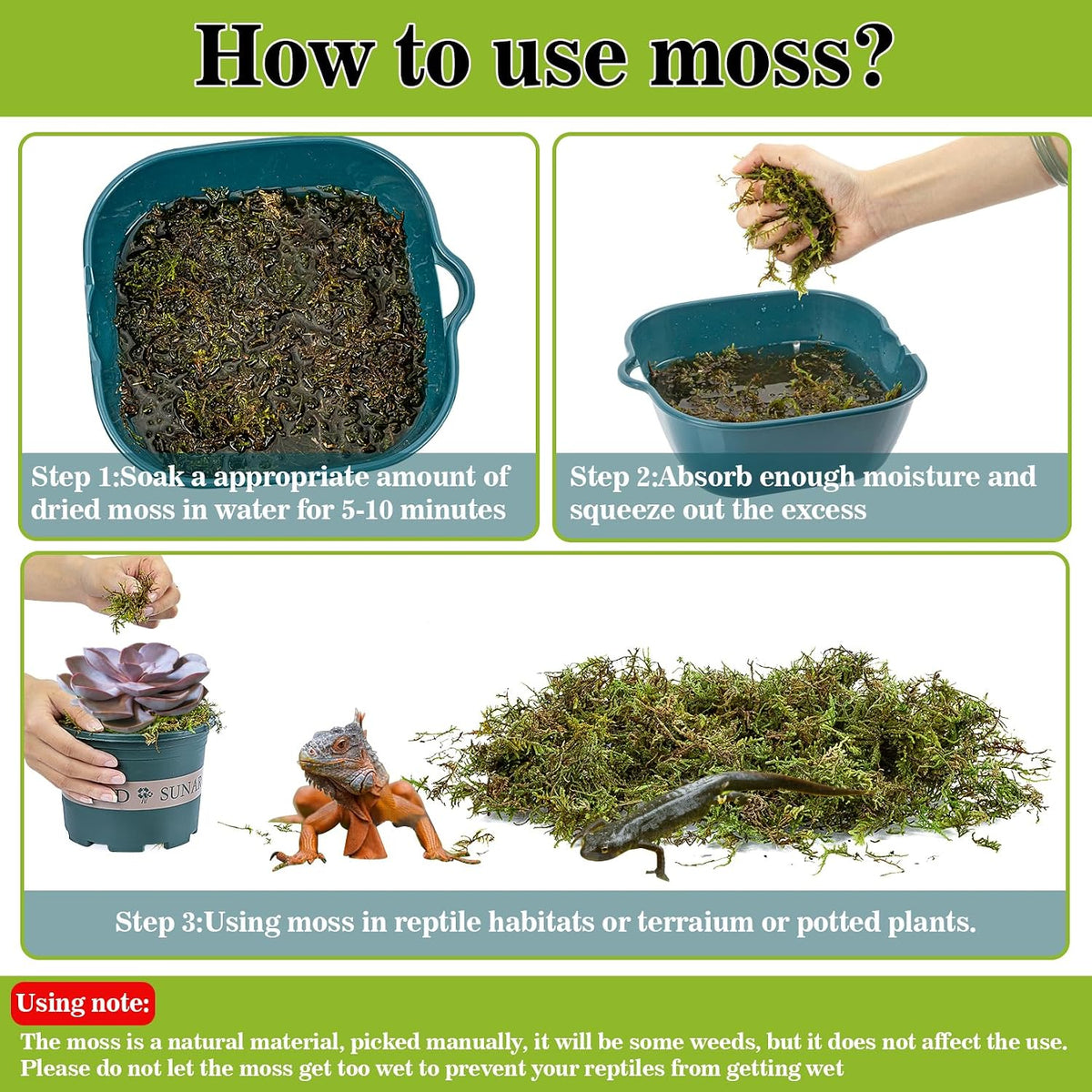 Sukh Sphagnum Moss for Reptiles, Green Terrarium Moss Substrate - 30 Ounces / Green - image 3