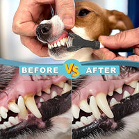 Dog Toothbrush, 360 Degree Finger Toothbrush, Triple Head Toothbrushes,Cleaning Brushes for Dog Cat Oral Dental Health (12 Kit)