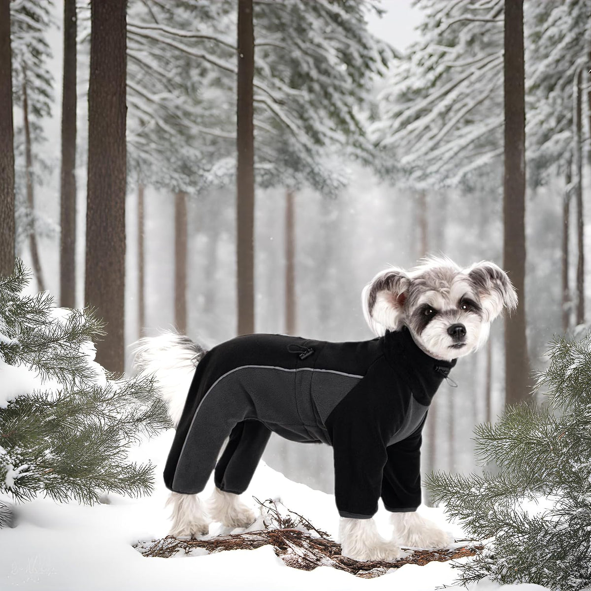 Fleece Dog Coat for Small Medium Dog - Black / S - image 4