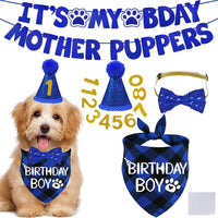 STMK Dog Birthday Decorations - Small / Blue