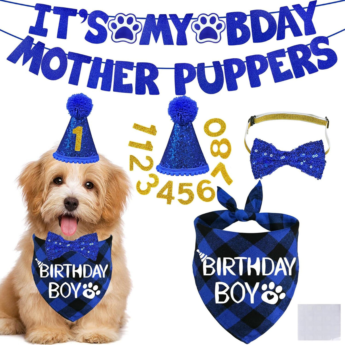 STMK Dog Birthday Decorations - Small / Blue