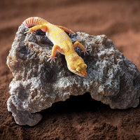 Reptile Hide Snake Cave Large Simulation Stone Resin Hideout Leopard - A-Large - image 4