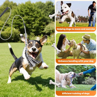 Pragmatist Outdoor Flirt Pole for Dog - image 4