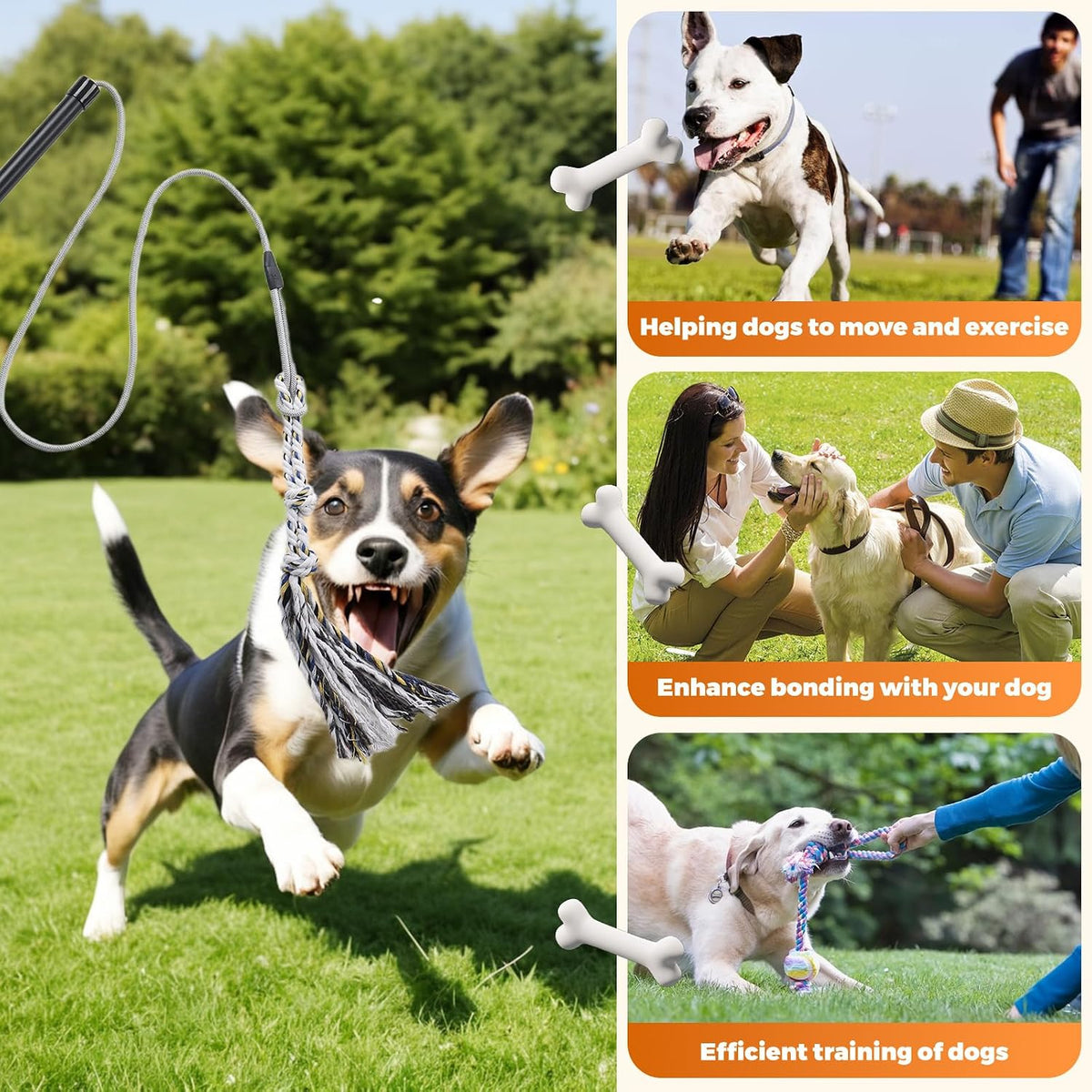 Pragmatist Outdoor Flirt Pole for Dog - image 4