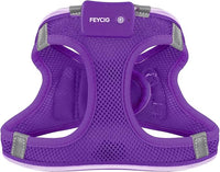 Light Up Dog Harness,Rechargeable LED Dog Harness for Small Medium Large Dogs,Reflective Lighted Safety Vest for Night Walking & Camping,Lightweight & Adjustable,Purple,XS